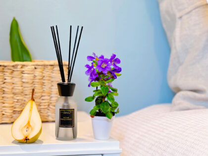 Kissmi Scents Classic Reed Diffuser